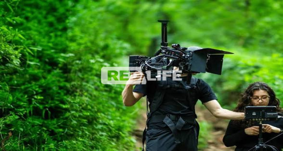 MediaOpportunities