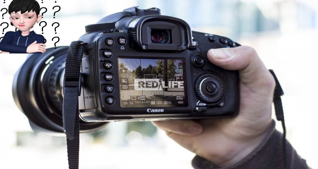 Private photographer based in North-East