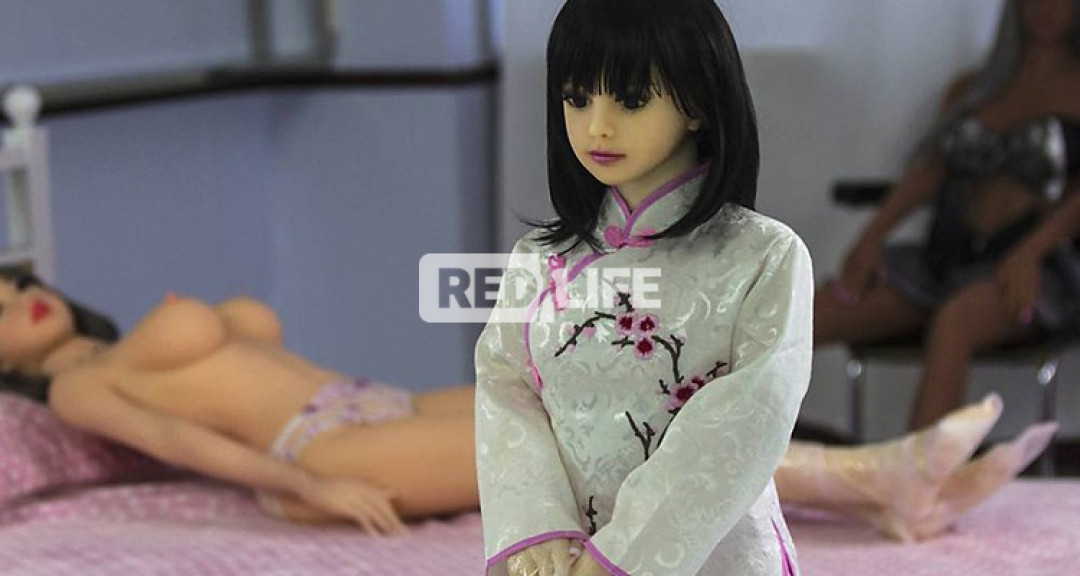 Sex robots cost the customer