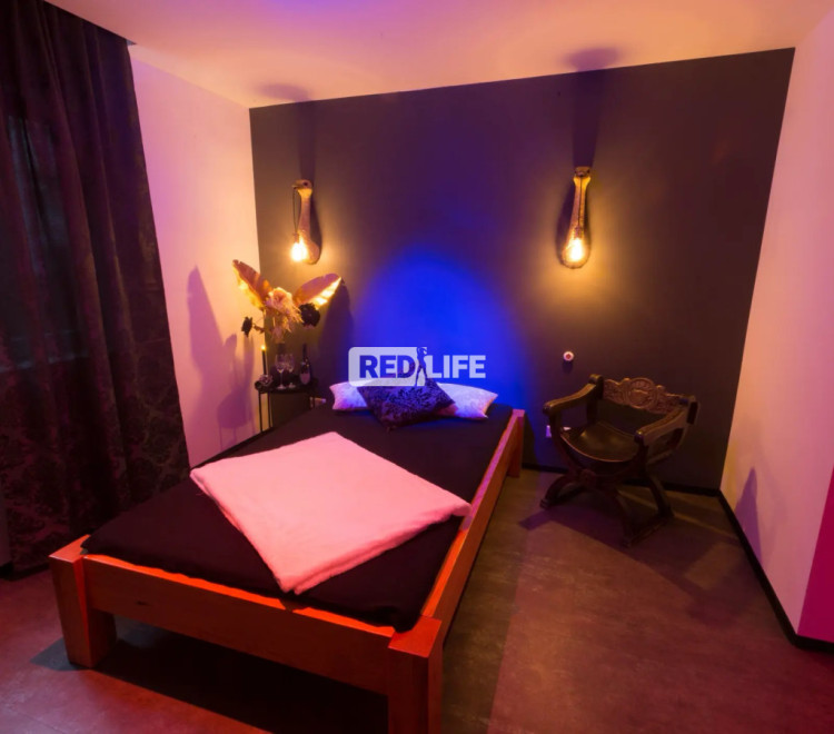 Bordell Karlsruhe daily rent own