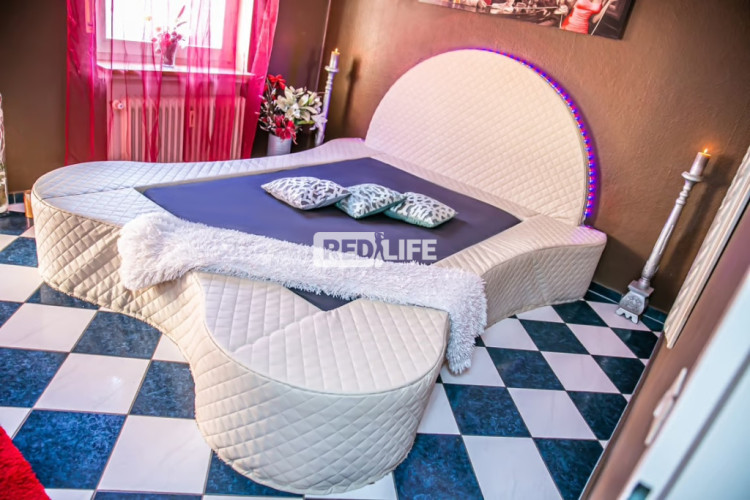 female owner fixed rent private