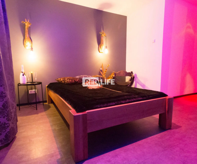 Bordell Karlsruhe daily rent own